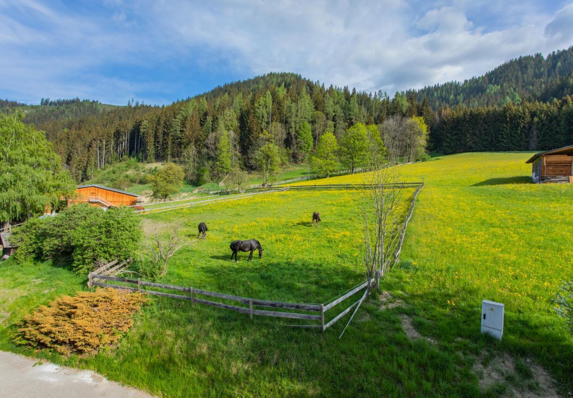 Huberhof 8 By Alpenidyll Apartments Schladming Exteriér fotografie